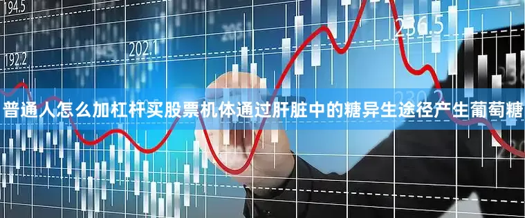 普通人怎么加杠杆买股票机体通过肝脏中的糖异生途径产生葡萄糖