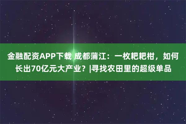 金融配资APP下载 成都蒲江:一枚耙耙柑,如何长出70亿元大产业?|寻找农田里的超级单品