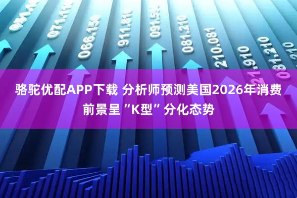 骆驼优配APP下载 分析师预测美国2026年消费前景呈“K型”分化态势