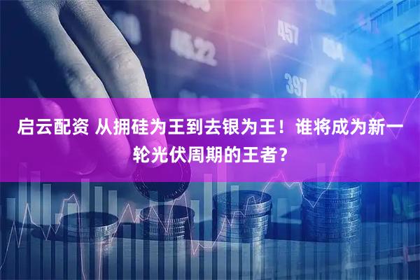 启云配资 从拥硅为王到去银为王！谁将成为新一轮光伏周期的王者？