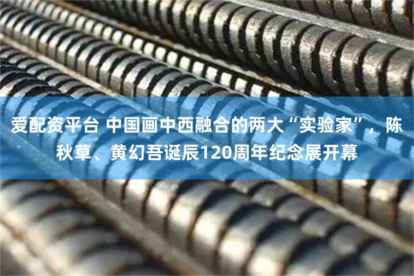 爱配资平台 中国画中西融合的两大“实验家”，陈秋草、黄幻吾诞辰120周年纪念展开幕